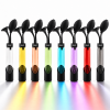Squeaky - HOM, The Coffee Aroma Display Tool - Tall & Color Edition